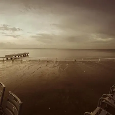 La Plume De Paul * Nice